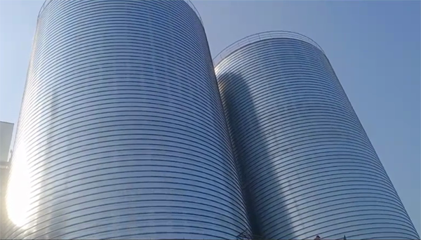 驻马店2座混凝土高架卷板仓